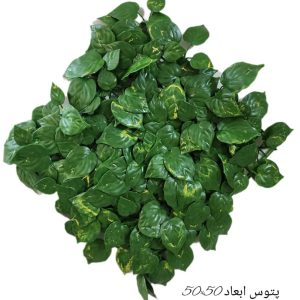 گرینوال پتوس